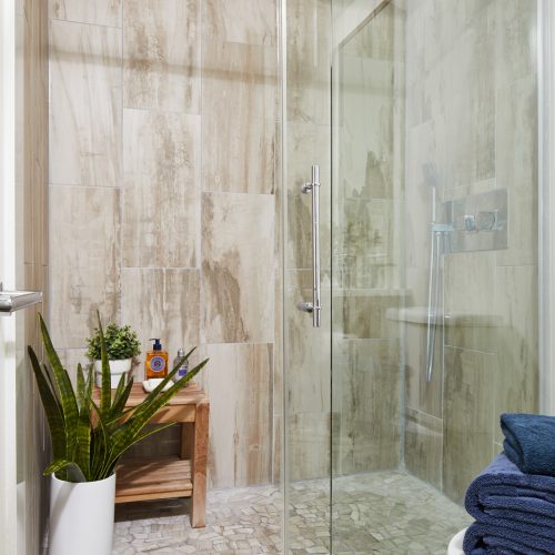 toronto condo bathroom renovation - small space bathroom with walk-in shower - modern bathroom renovation - using large tile in small spaces - grey bathroom tiles - decorating with plants - small space design and living - linda mazur design toronto designer