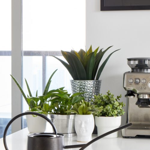 toronto condos small space living - quartz counters and decorating with plants - featured in houzz - Breville coffee station - toronto designer linda mazur design